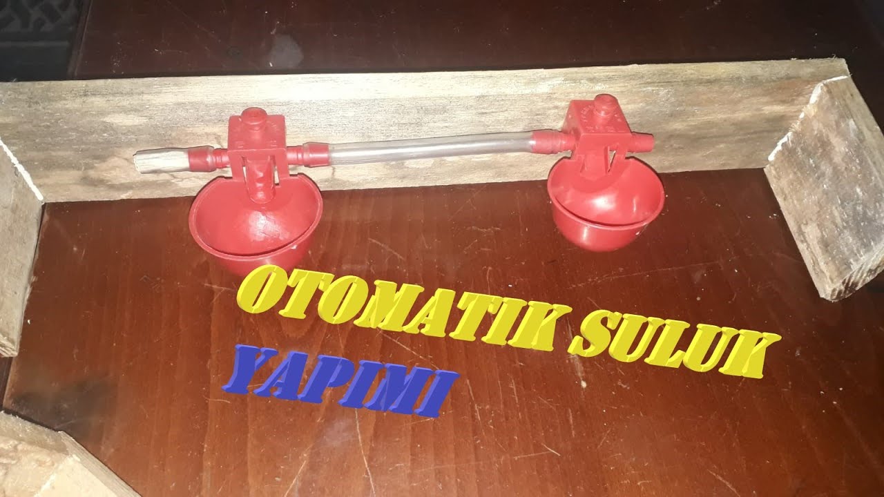Kafeslere otomatik suluk yapımı