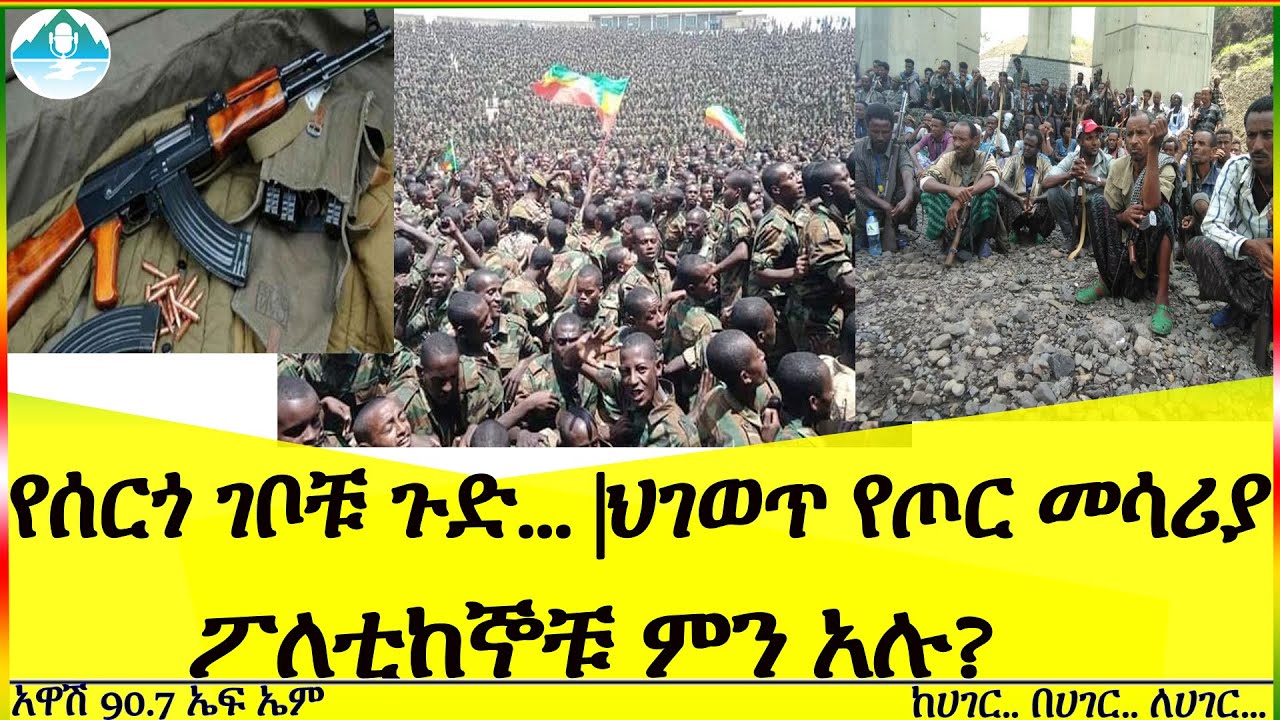 የሰርጎ ገቦቹ ጉድ...|ህገወጥ የጦር መሳሪያ|ፖለቲከኞቹ ምን አሉ?