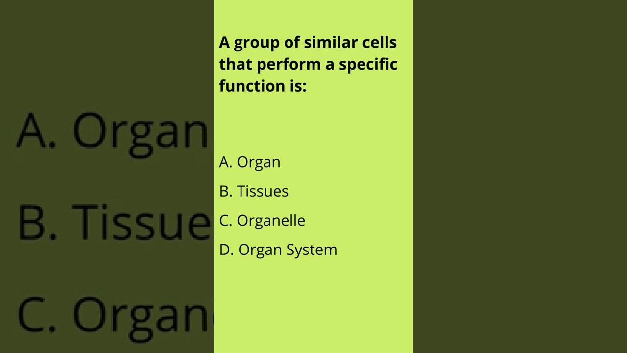A group of similar cells that perform a specific function is: #shorts #gk