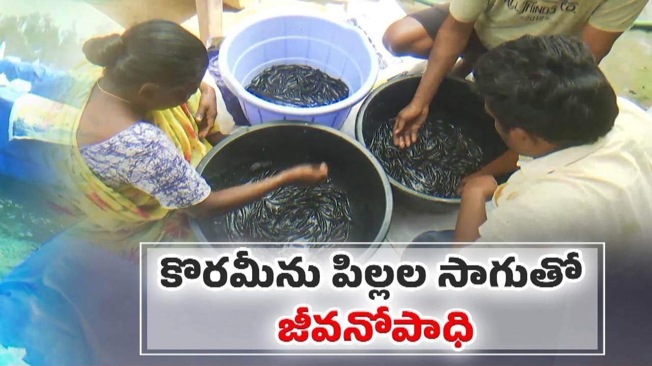 Local Employment Success | Manuguluru Villagers Grow Fish & Export Without Migrating