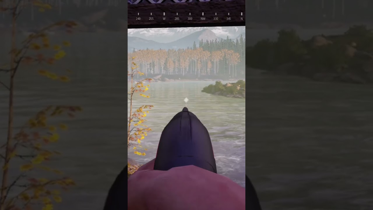 Duck hunting in Hunting 2 Simulator 