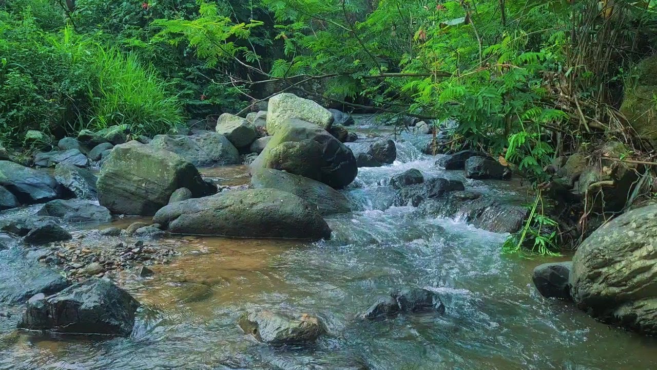 River Flow Under the Moonlight – Soothing Night Ambience for Deep Relaxation & Sleep
