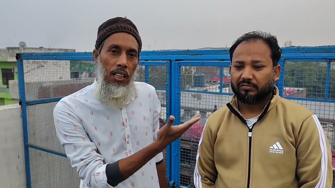 ISRAEL BHAI KE KALE DUBAJ KABOOTAR PART 2