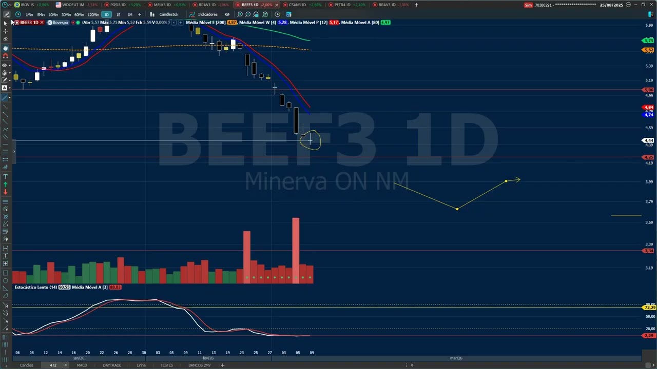AN&Aacute;LISE T&Eacute;CNICA BEEF3 MAIS UM DOJI !
