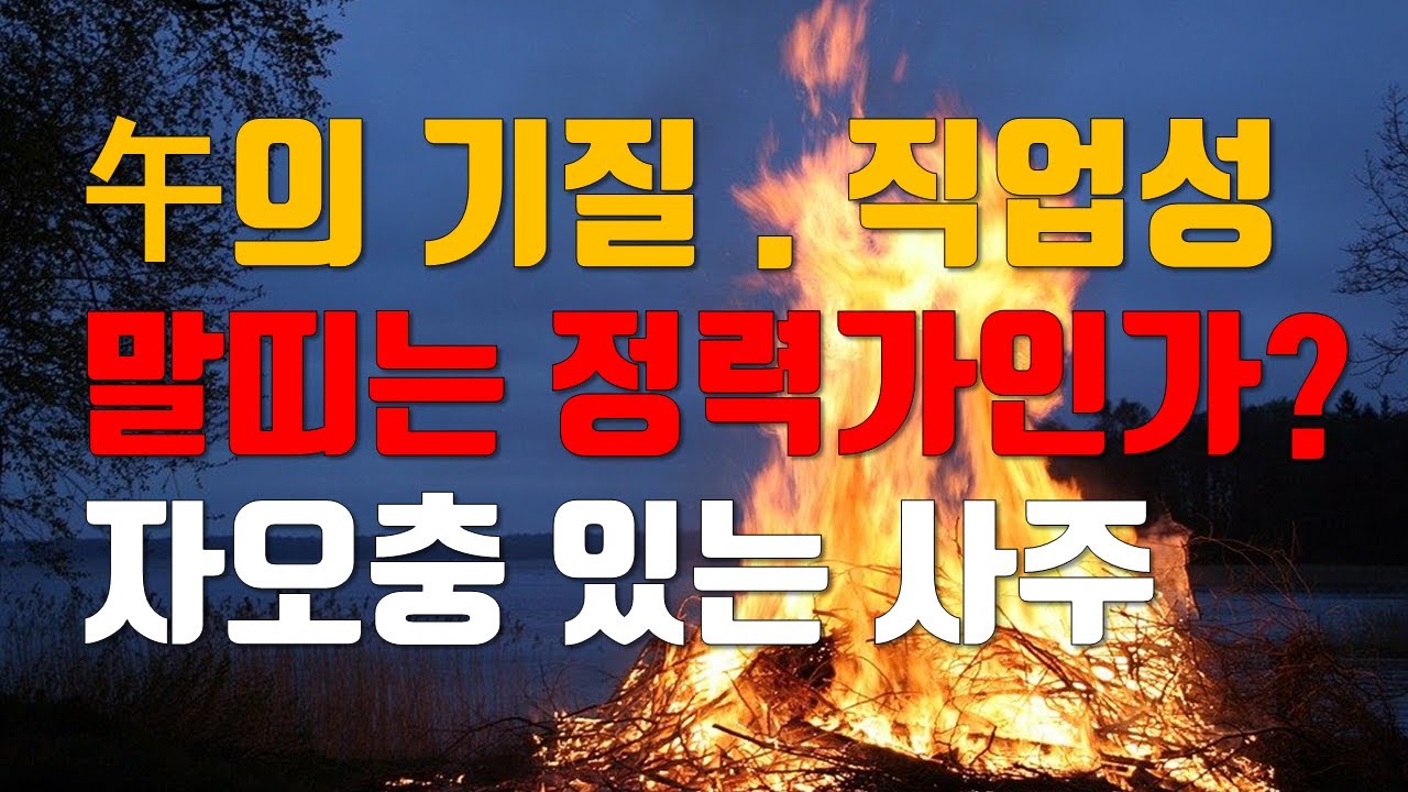 오화의성정, 오화의성격, 자오충있는사주, 운에서오화를 만나면?