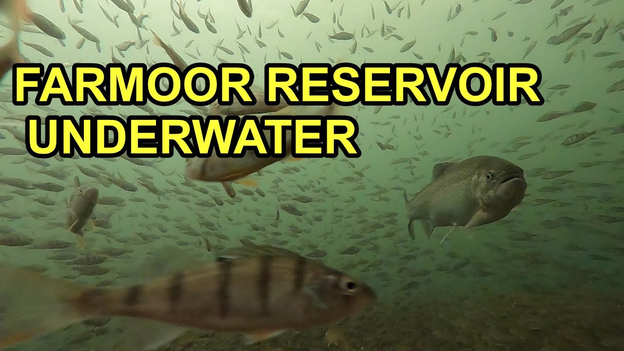 Farmoor Reservoir Underwater