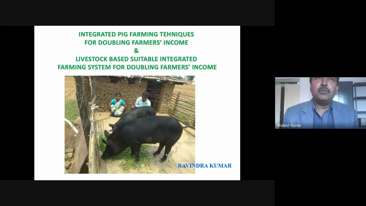 “Integrated Pig Farming Techniques for Doubling Farmer’s Income & Livestock Based Suitable Integrat