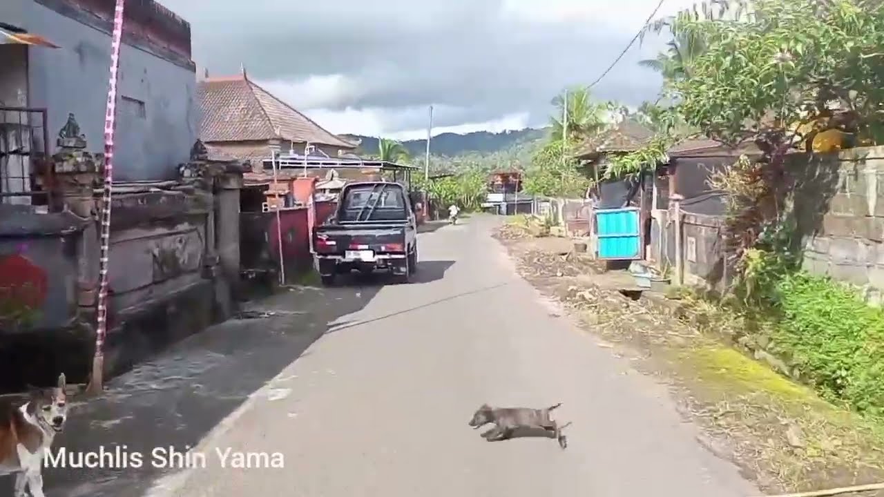 Perkampungan Juwuk Manis Jembrana Bali