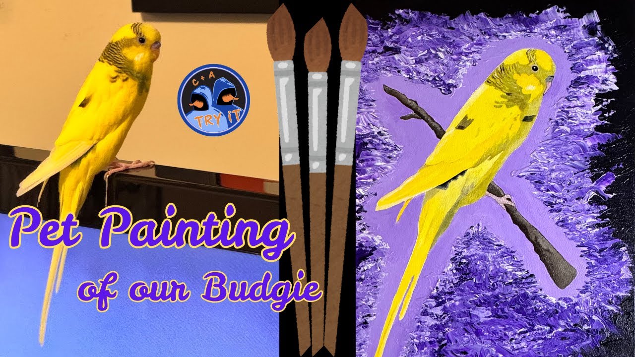 Painting our Budgie (Milo): Pet Art