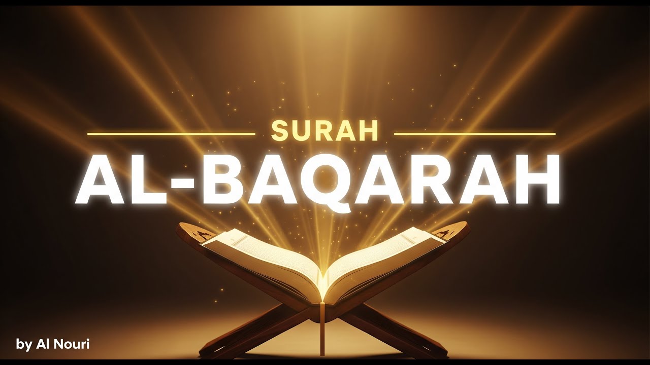 Surah Al-Baqarah Recitation English | Soothing Quran Soundscape for Deep Relaxation