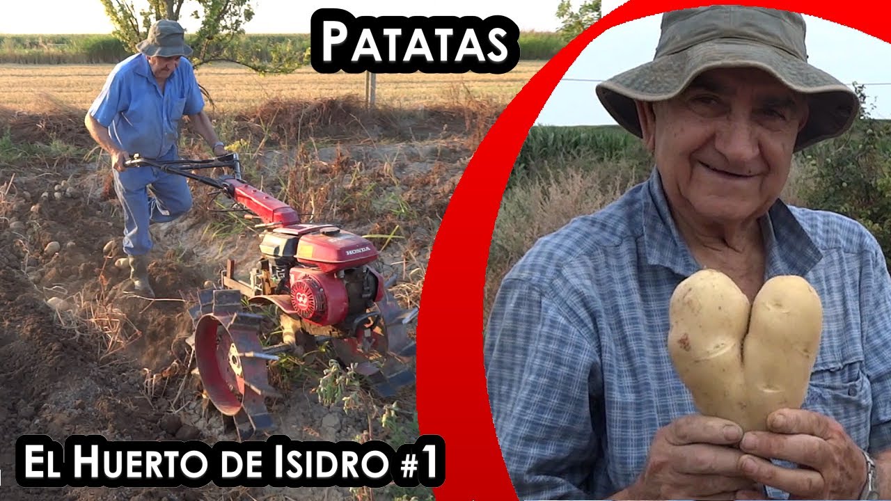 El huerto de Isidro #1. Patatas