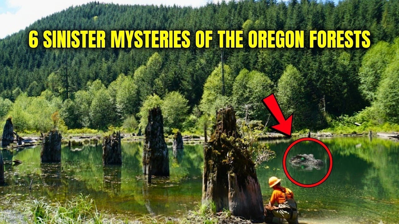 6 Hidden Mysteries of Oregon's Forests That Were Exposed Today
