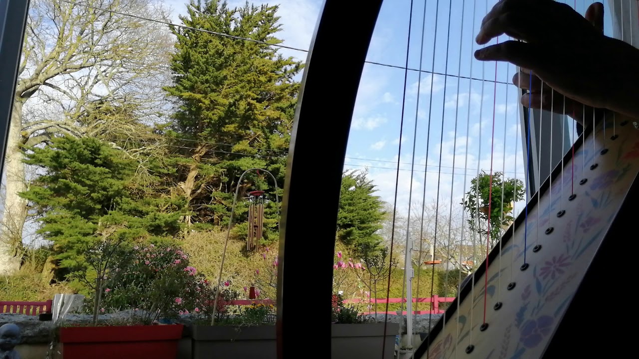 Harry Potter à la harpe celtique