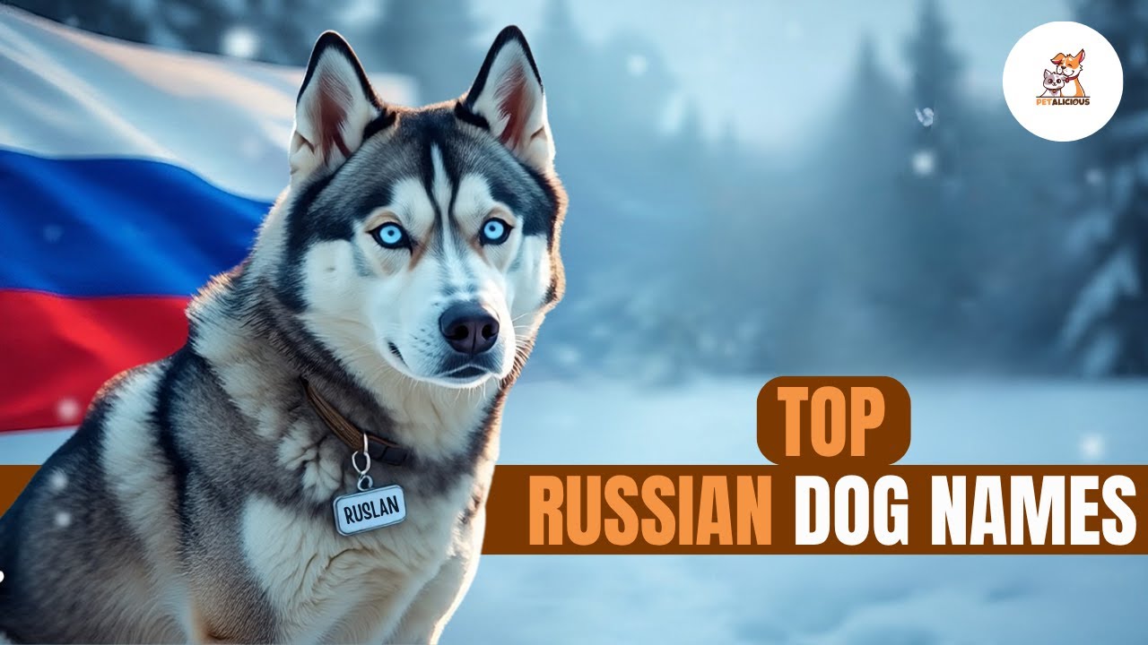 TOP RUSSIAN DOG NAMES | STRONG, UNIQUE & MEANINGFUL NAMES FOR YOUR PUP