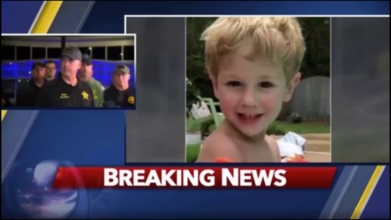 Toddler saved by Angelic Bear or Bigfoot? (ThinkerThunker)