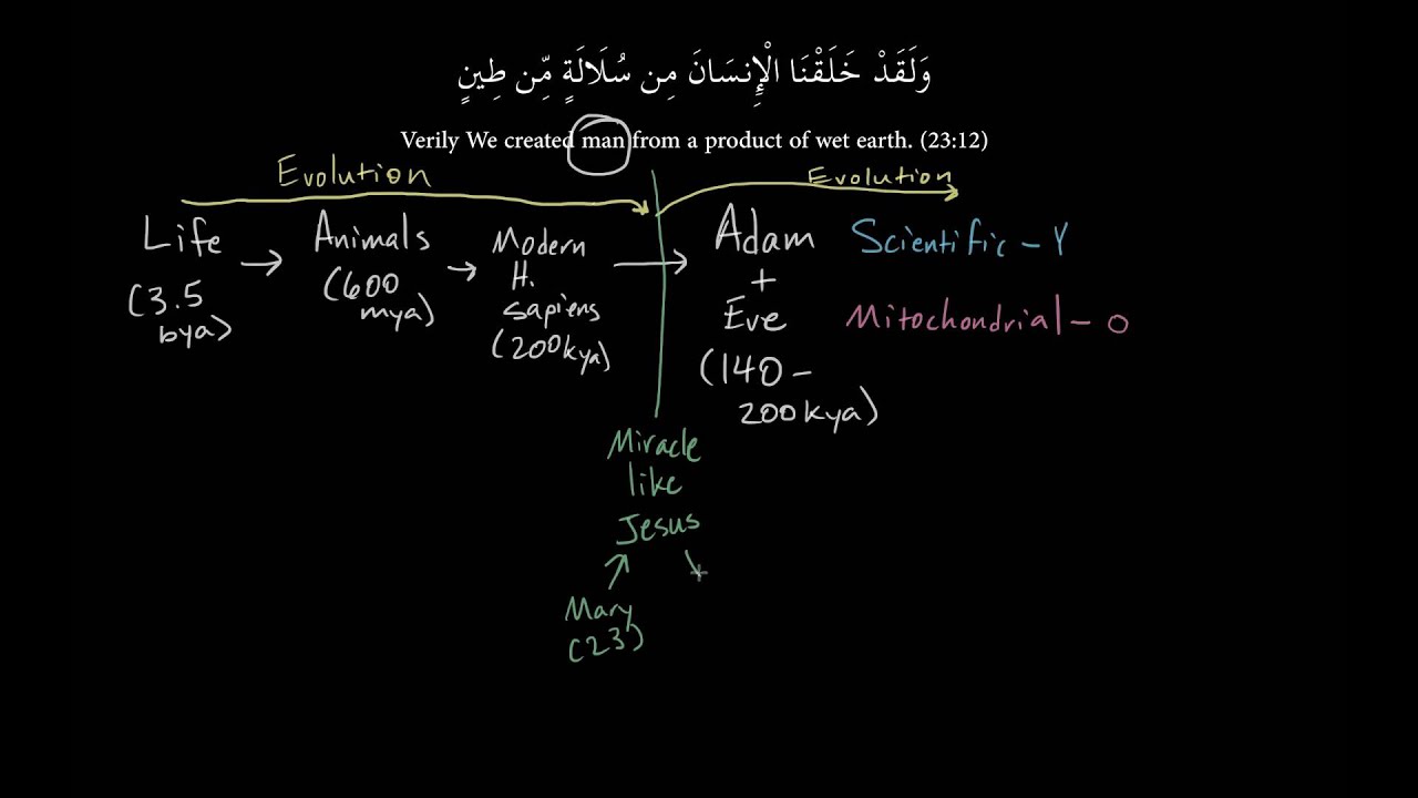Islam, Homo sapiens Evolution, and the First Humans