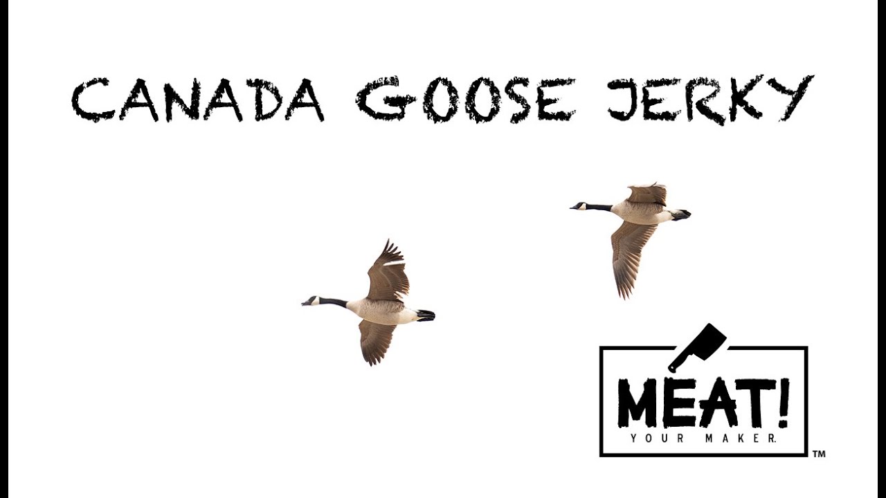 Hank Shaw's Jerky Recipe - Using Canada Goose!