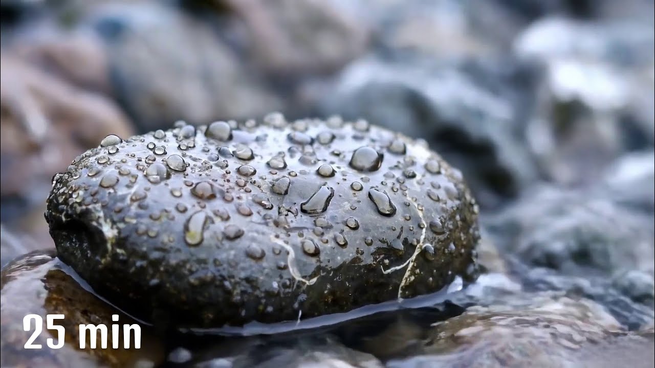 Gentle Rain on River Stone | 25 Minutes Relaxing Piano for Sleep & Meditation