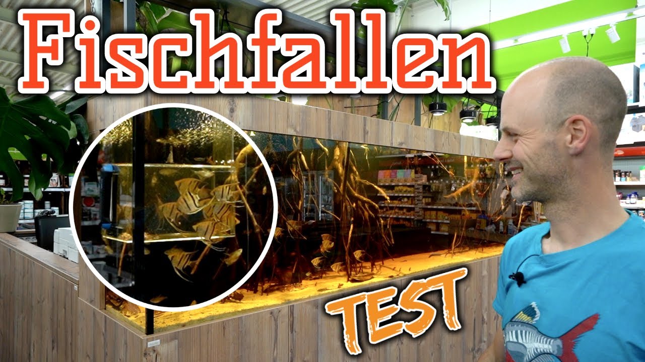 Fischfalle im Test | Fische aus eingerichteten Aquarien fangen | Profi Tipp