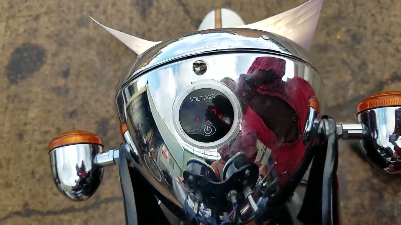 1965 Triumph T100 500cc at Andy Tiernans #08959TRI