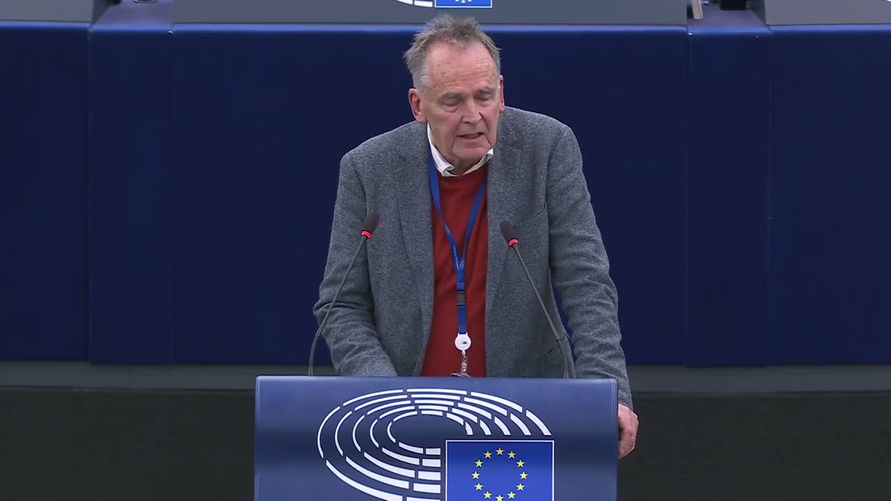 Selbstgerechtigkeit ist keine Au&szlig;enpolitik - Michael von der Schulenburg im Europaparlament