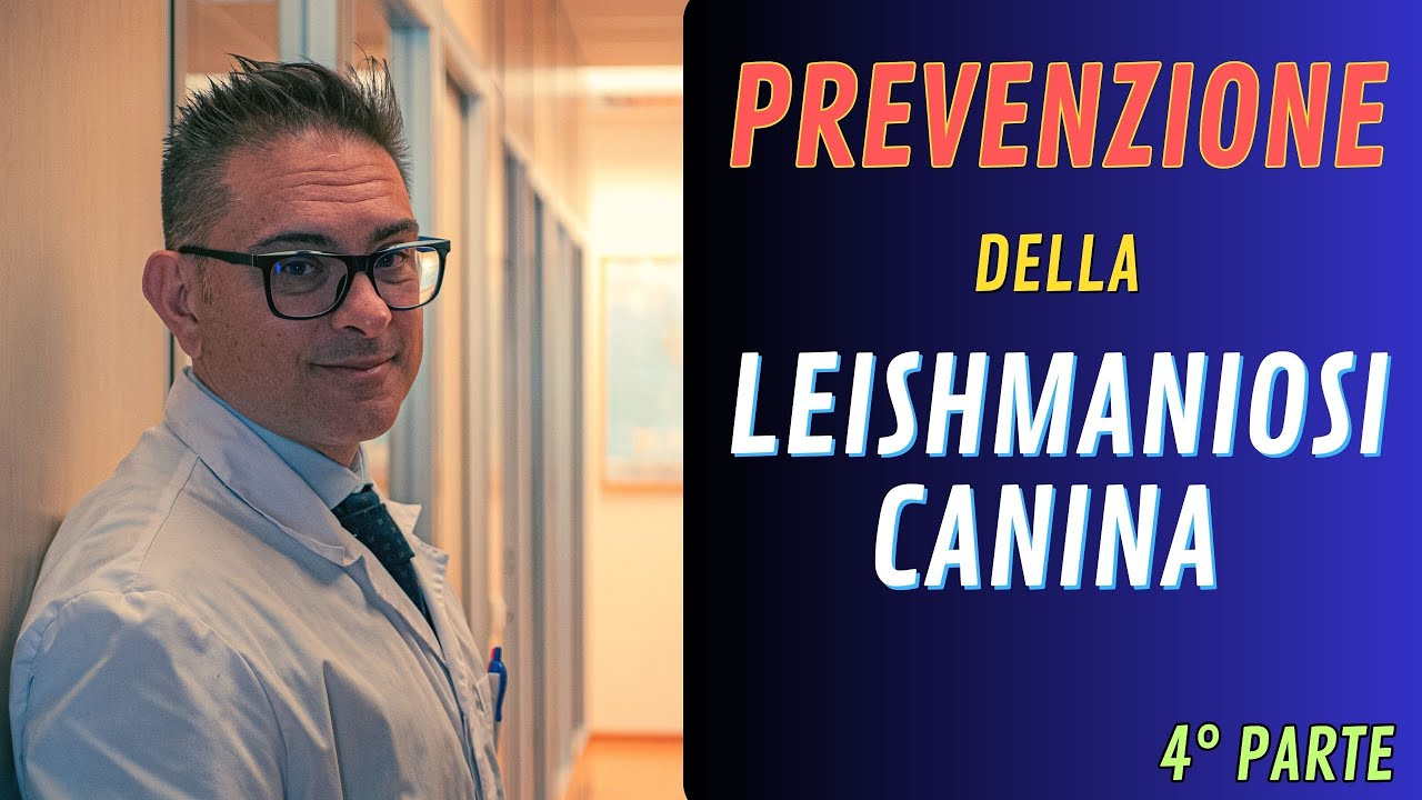 PREVENZIONE della Leishmaniosi Canina - PARTE 4