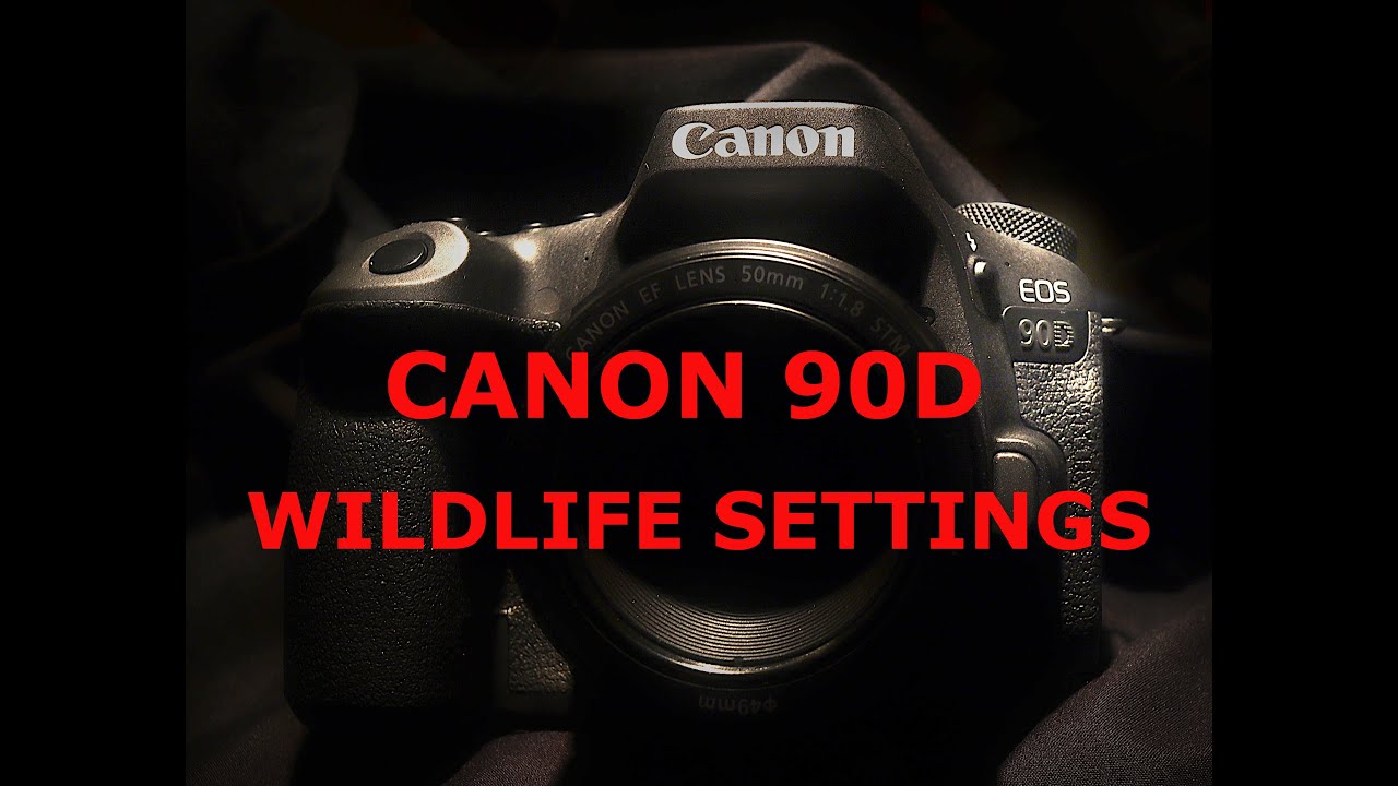 Canon 90D Wildlife Settings -- Stafford Fuhs