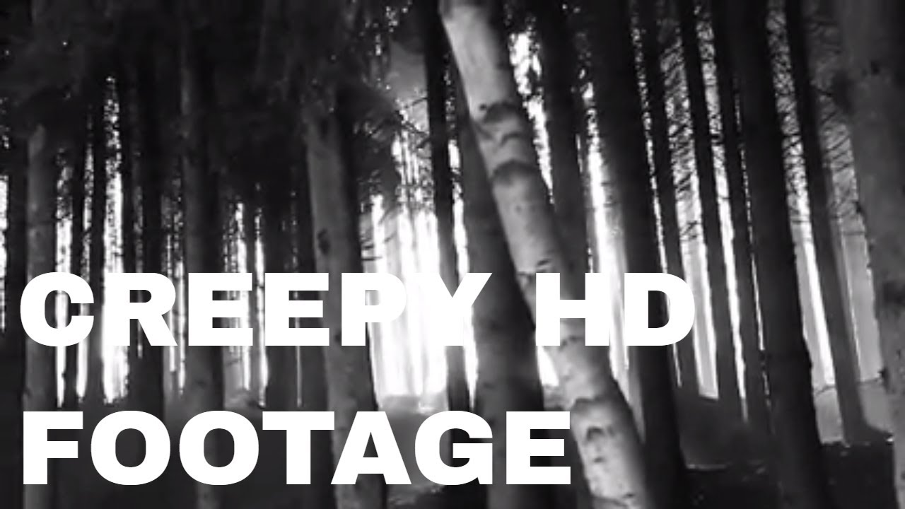 Free Horror Winter Footage   Creepy Snow Landscape   Scary Compilation