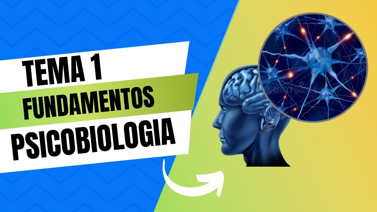 TEMA 1 PSICOBIOLOGIA explicaci&oacute;n f&aacute;cil UNED psicolog&iacute;a (2025/2026)