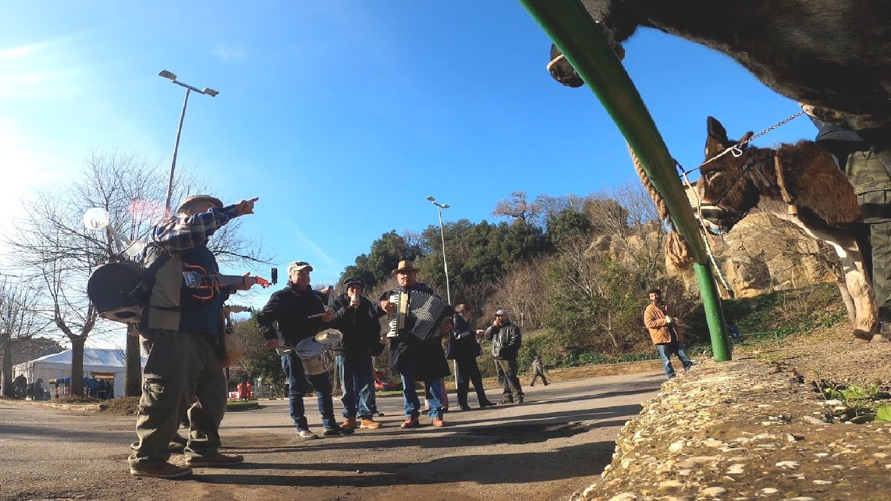 La banda del Torchio a Farnese. Festeggiamenti in onore di S. Antonio abate.