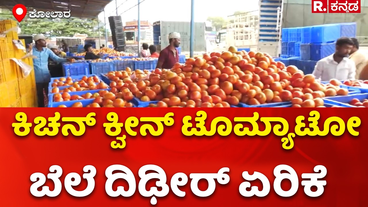 Tomato Price Hike :  ಕಿಚನ್&zwnj; ಕ್ವೀನ್ ಟೊಮ್ಯಾಟೋ ಬೆಲೆ ದಿಢೀರ್ ಏರಿಕೆ | Kolar Tomato Market