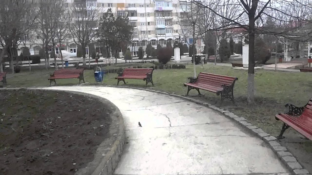 Targu frumos