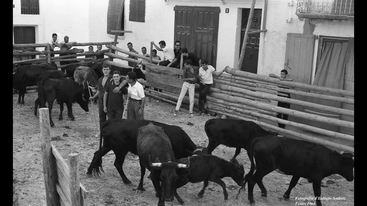 ELS BOUS A LA SÉNIA DÉCADA DELS 60 I 70