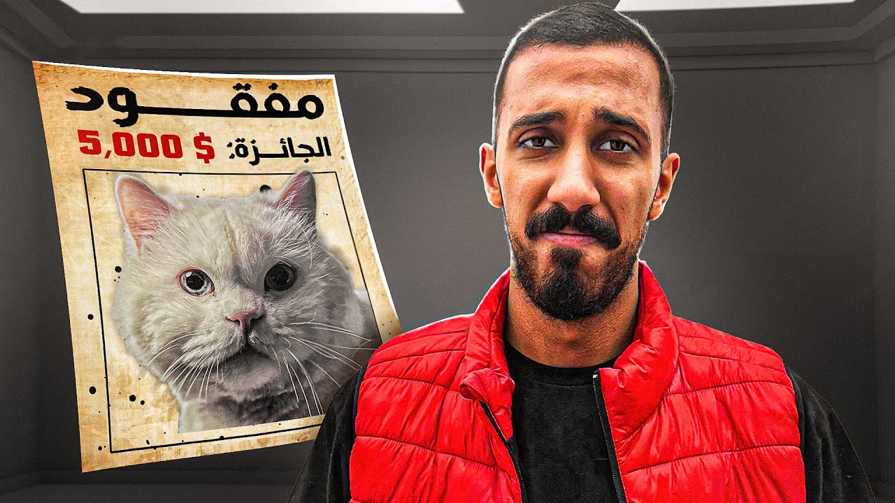 قصة النصاب اللي سرق قطتي 🐱!