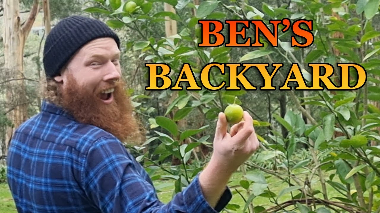 Ben's Backyard Episode 1: 