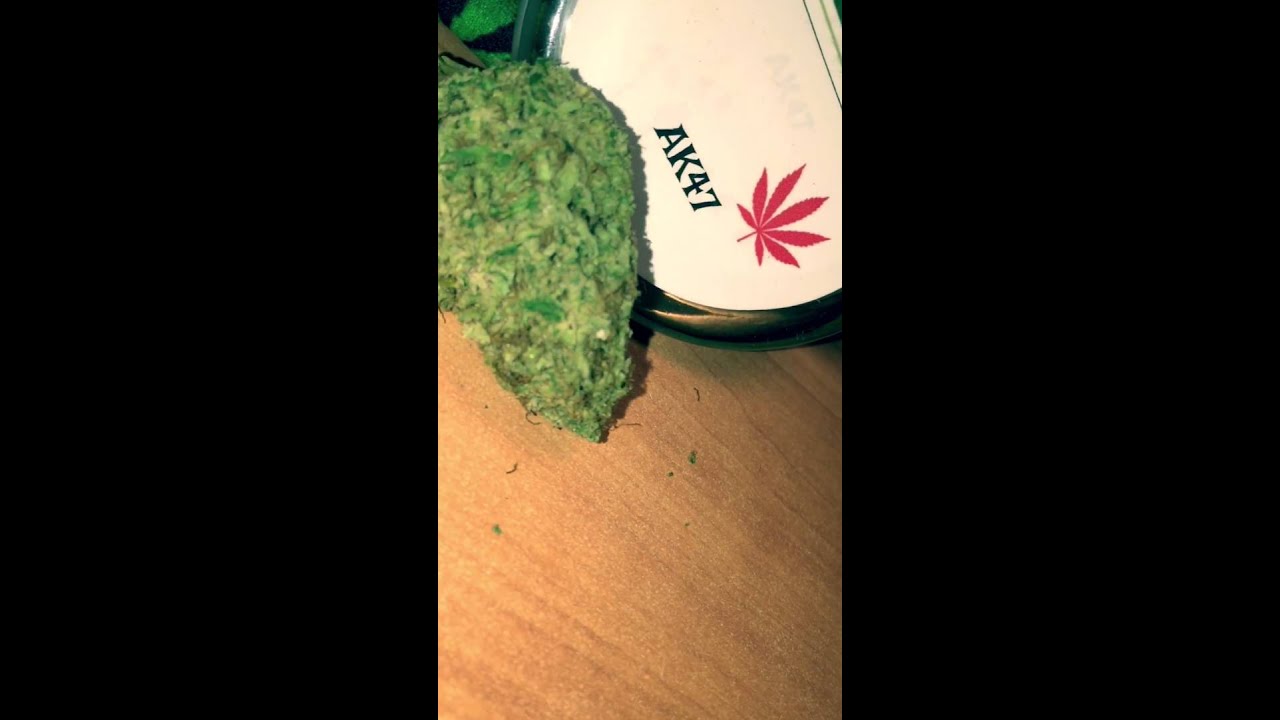 Grand Daddy Purple The420Club