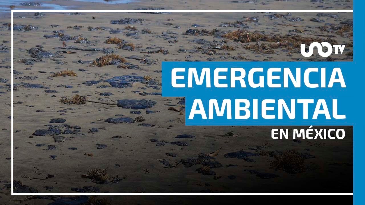 Greenpeace denuncia estado de 