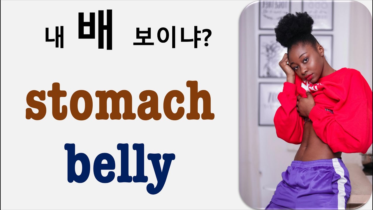 Q5 English 어휘 Lesson 2419 (배, 위, 복부 – belly vs stomach)