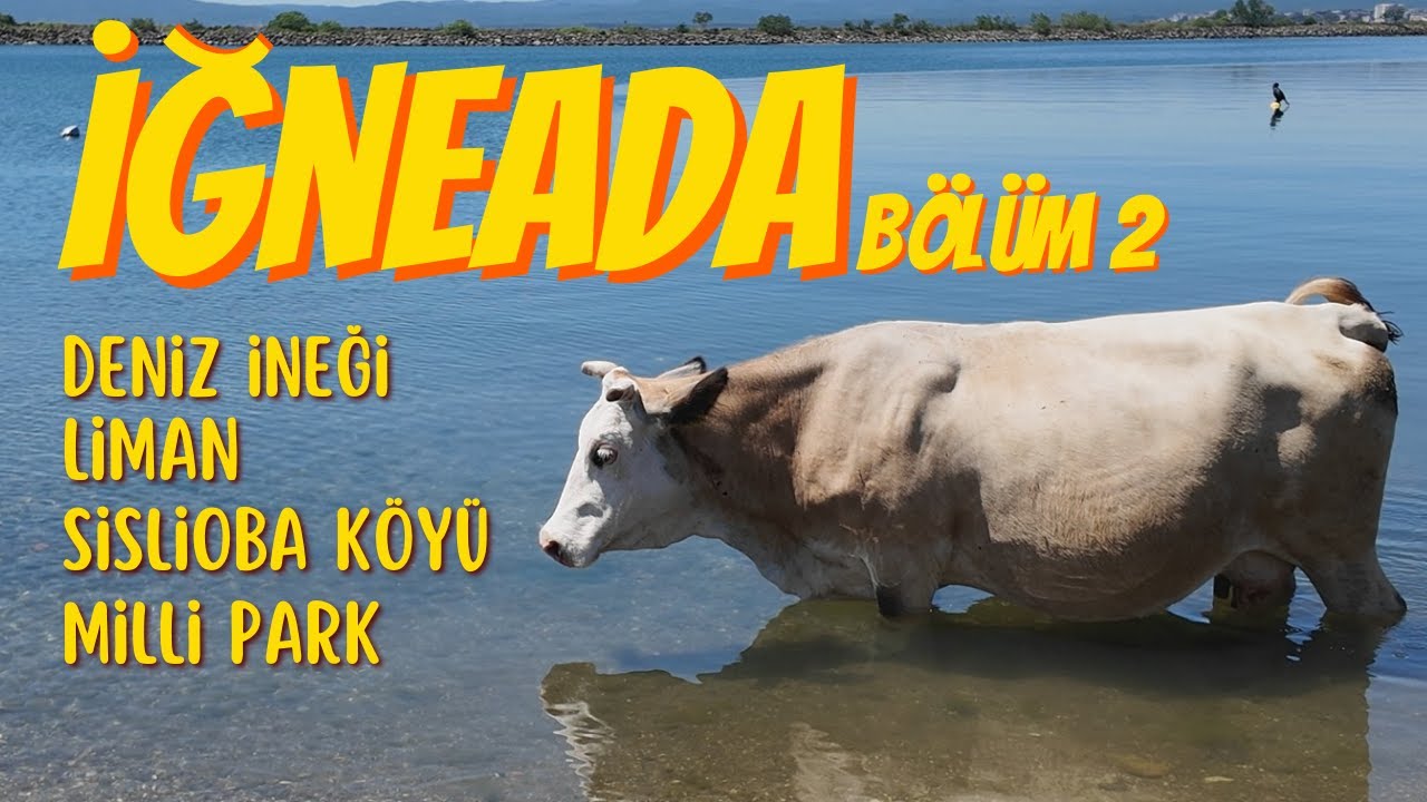 İĞNEADA MACERASI 2. B&Ouml;L&Uuml;M #kırklareli #iğneada #longoz #deniz #travel #doğa #gezgin #gezi #ada