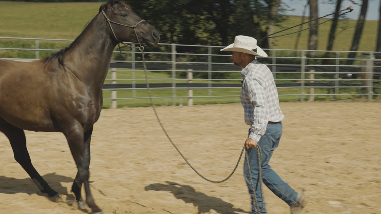 How To Be Terrible with Horses