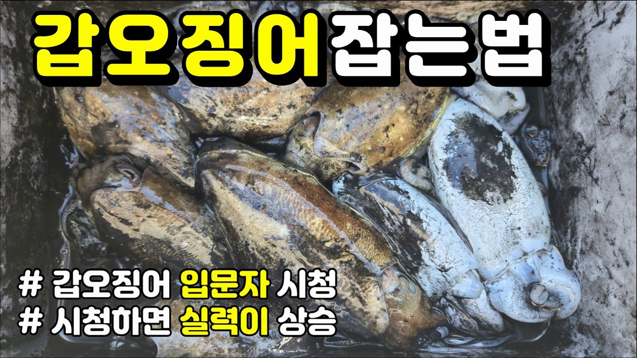 워킹갑오징어낚시 이렇게 한번 해보세요? 조금더 쉬워집니다
