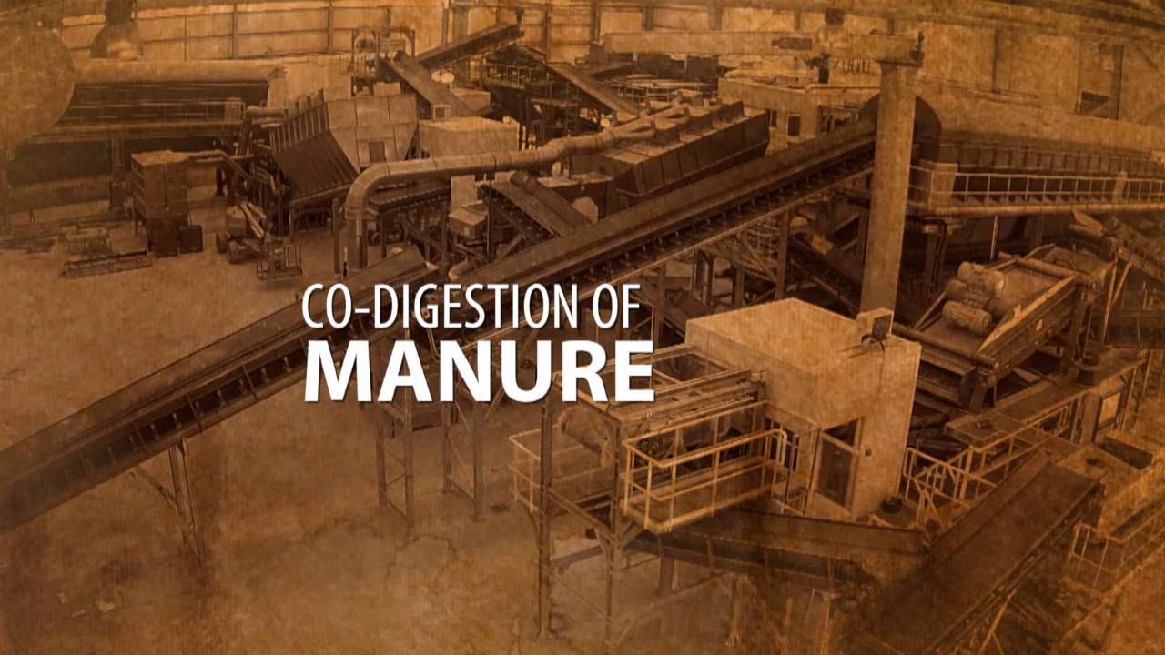 Waste treatment and biogas plant Malta, MNWTP - designed an build by B.E.V. Consortium