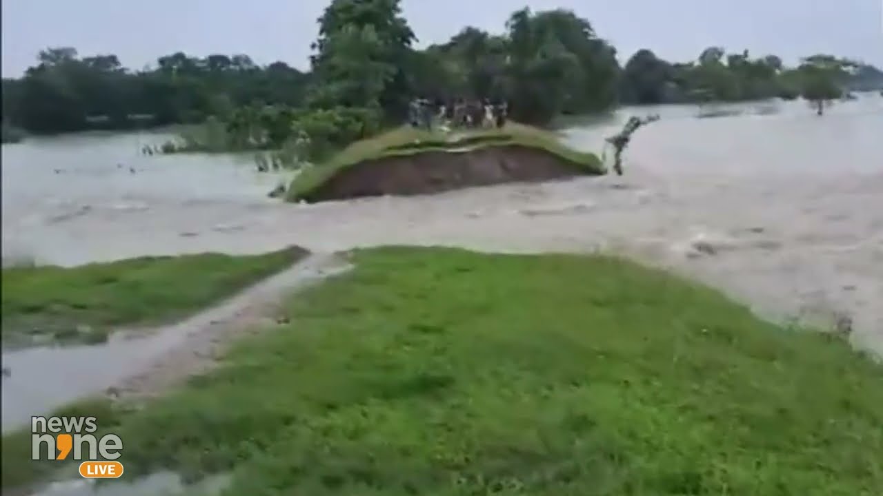 ASSAM : Flooding in Assam's Golaghat District Due to Brahmaputra River Overflow | FLOOD | NEWS9