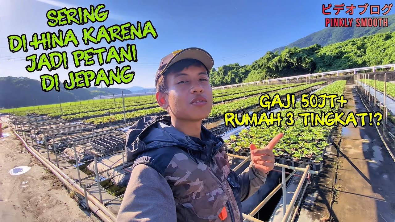 SERING DI HINA KARENA KERJA DI PERTANIAN JEPANG TAPI GAJI 50 JUTA ?!?!