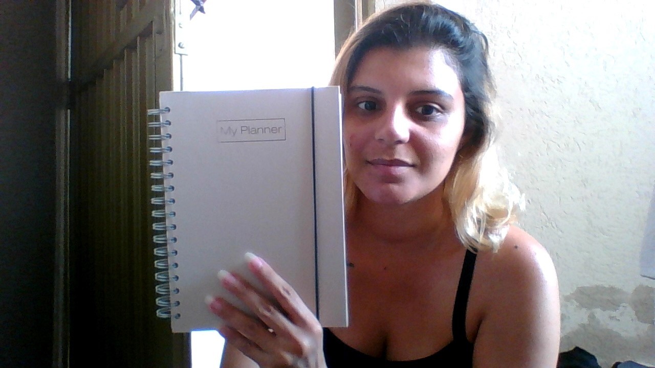 Tour pelo meu planner de 2026