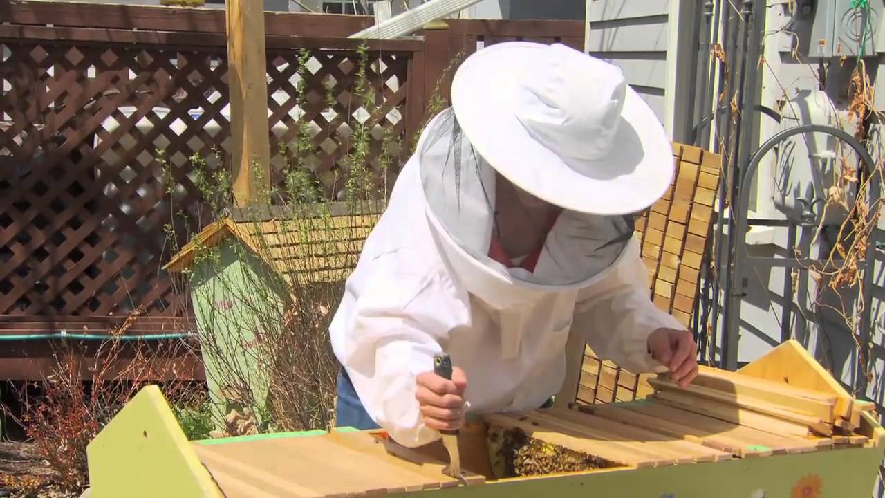 Farm To Fork Wyoming - Beekeeping