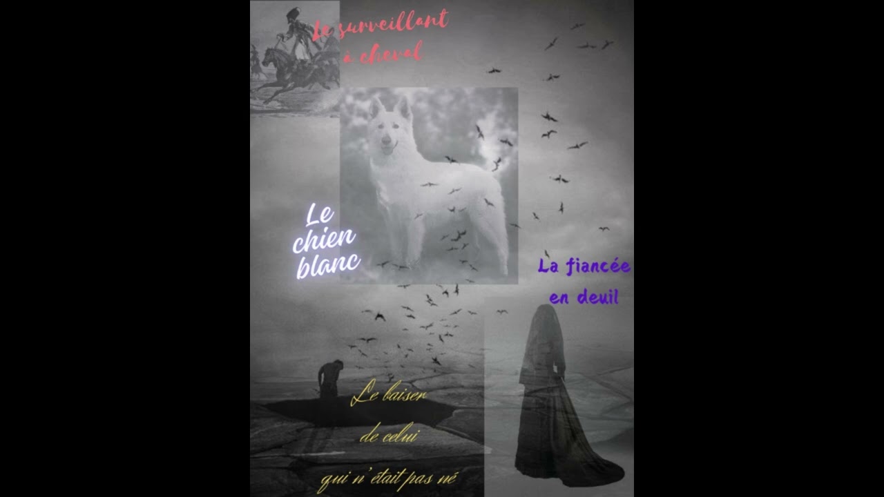 Le surveillant à cheval - La fiancée en deuil - Le chien blanc - Le baiser... (Fiodor Sologoub)