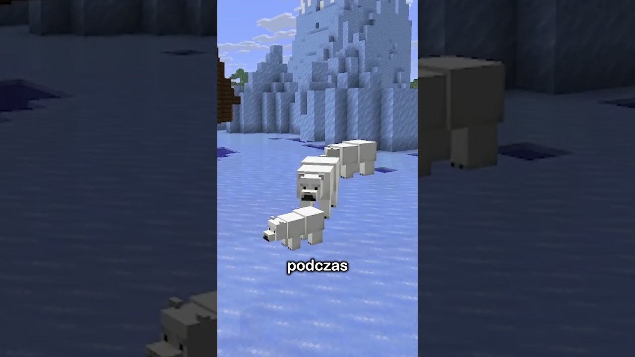 NOWE NAJRZADSZE MOBY W MINECRAFT!