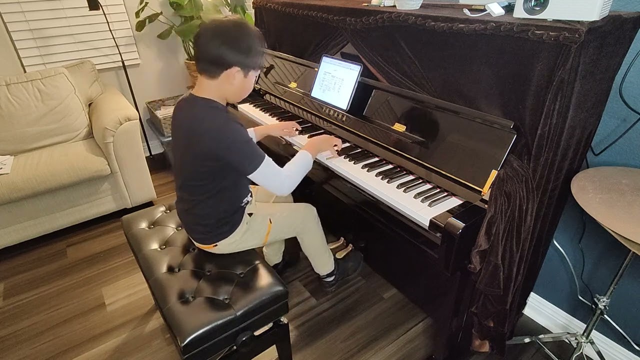 CM level 6 technique