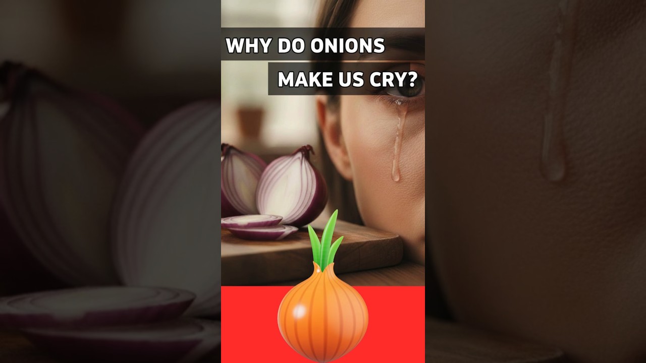 Why Do Onions Make Us Cry?